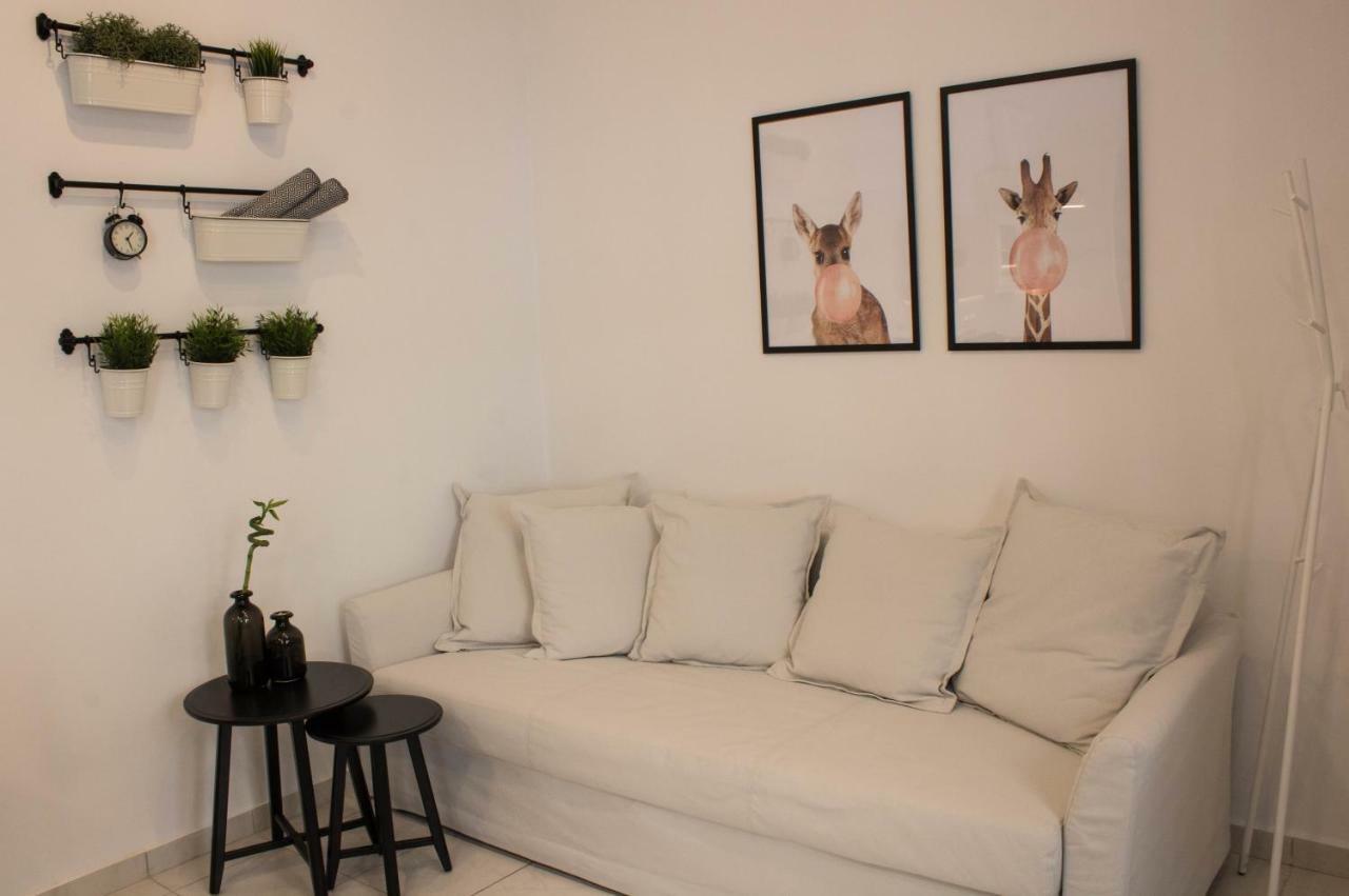 Super Stylish Apartments In Syntagma Square! アテネ エクステリア 写真
